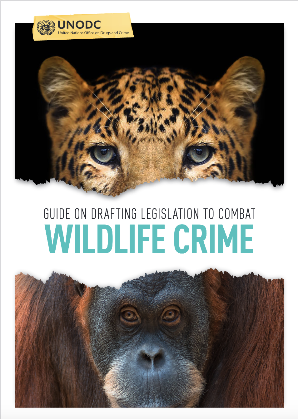 <div style="text-align:center"> </div>
<div style="text-align:center">Guide on drafting legislation to combat wildlife crime<br /> (<a href="https://www.unodc.org/documents/organized-crime/tools_and_publications/Wildlife_Crime_ebook.pdf">E</a> - <a href="https://www.unodc.org/documents/organized-crime/tools_and_publications/Wildelife-Crime_ebook_F.pdf">F</a> - <a href="https://www.unodc.org/documents/Wildlife/Legislative_Guide_PT.pdf"><em>Portuguese</em></a>)</div>